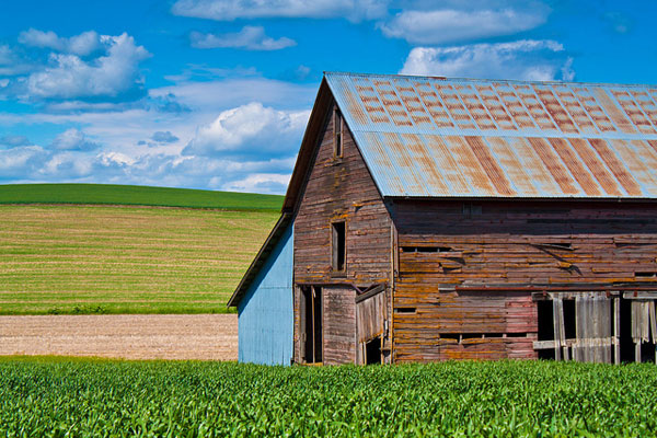 Old barn