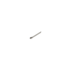 A small, metal spoon with a short handle is centered on a plain, light grey background—ideal for use alongside an automatic oil and grease separator in modern kitchens.